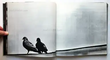 Sample page 22 for book "Tomatsu, Shomei – Shomei Tomatsu & Ken Domon - Hiroshima-Nagasaki Document 1961 (東松 照明, 土門拳)" Sample page 22 for book "Tomatsu, Shomei – Shomei Tomatsu & Ken Domon - Hiroshima-Nagasaki Document 1961 (東松 照明, 土門拳)"