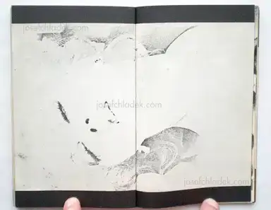 Sample page 11 for book "Kanoh, Tenmei – Tenmei Kanoh - Fuck (加納 典明 – Fuck / 燃えるパーティー)" Sample page 11 for book "Kanoh, Tenmei – Tenmei Kanoh - Fuck (加納 典明 – Fuck / 燃えるパーティー)"