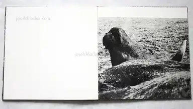 Sample page 3 for book "Clergue, Lucien – Lucien Clergue - Toros muertos" Sample page 3 for book "Clergue, Lucien – Lucien Clergue - Toros muertos"