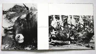 Sample page 2 for book "Clergue, Lucien – Lucien Clergue - Toros muertos" Sample page 2 for book "Clergue, Lucien – Lucien Clergue - Toros muertos"