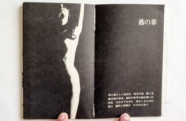 Sample page 6 for book Tetsuya Ichimura – Salome - 狂気のうたげ