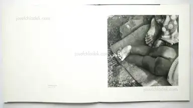 Sample page 5 for book "Goldblatt, David – David Goldblatt - Particulars" Sample page 5 for book "Goldblatt, David – David Goldblatt - Particulars"