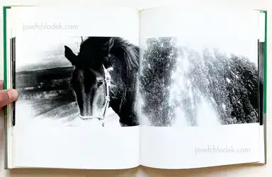 Sample page 17 for book "Moriyama, Daido – Daido Moriyama - A Hunter (森山大道 狩人 映像の現代10)" Sample page 17 for book "Moriyama, Daido – Daido Moriyama - A Hunter (森山大道 狩人 映像の現代10)"