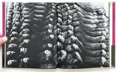 Sample page 25 for book "Fukase, Masahisa – Masahisa Fukase - Yugi (Homo Ludence) (深瀬 昌久 遊戯 映像の現代4)" Sample page 25 for book "Fukase, Masahisa – Masahisa Fukase - Yugi (Homo Ludence) (深瀬 昌久 遊戯 映像の現代4)"