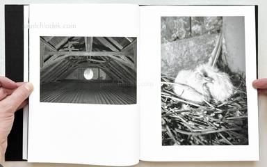 Sample page 17 for book Elena Helfrecht – Plexus