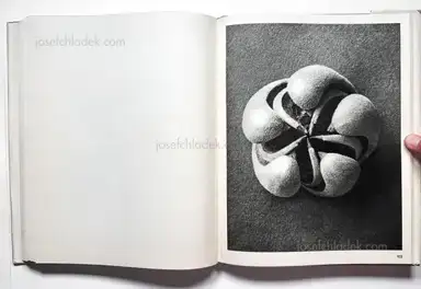 Sample page 7 for book "Blossfeldt, Karl – Karl Blossfeldt - Wundergarten der Natur. Neue Bilddokumente schöner Pflanzenformen" Sample page 7 for book "Blossfeldt, Karl – Karl Blossfeldt - Wundergarten der Natur. Neue Bilddokumente schöner Pflanzenformen"