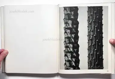 Sample page 4 for book "Blossfeldt, Karl – Karl Blossfeldt - Wundergarten der Natur. Neue Bilddokumente schöner Pflanzenformen" Sample page 4 for book "Blossfeldt, Karl – Karl Blossfeldt - Wundergarten der Natur. Neue Bilddokumente schöner Pflanzenformen"