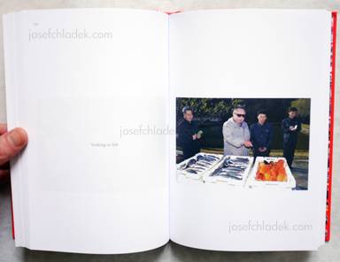 Sample page 8 for book  João Rocha – Kim Jong Il Looking at Things
