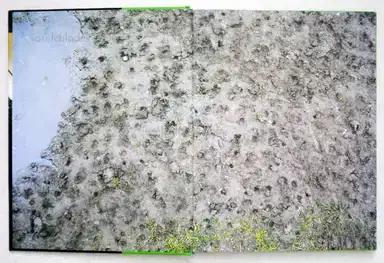 Sample page 22 for book "Germain, Julian – Julian Germain - In Soccer Wonderland" Sample page 22 for book "Germain, Julian – Julian Germain - In Soccer Wonderland"