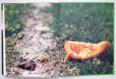 Sample page 1 for book "Germain, Julian – Julian Germain - In Soccer Wonderland" Sample page 1 for book "Germain, Julian – Julian Germain - In Soccer Wonderland"