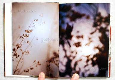 Sample page 2 for book  Aki Tanaka – Sunshine Volition 1/f の太陽