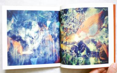 Sample page 6 for book  Michiko Makino – Tokyo Kingyo 東京金魚