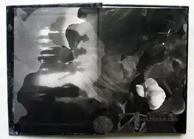 Sample page 9 for book "Amemiya, Rie – Rie Amemiya - Dawn/Sun set 明ける/暮れる" Sample page 9 for book "Amemiya, Rie – Rie Amemiya - Dawn/Sun set 明ける/暮れる"