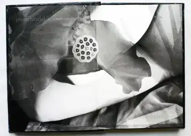 Sample page 8 for book "Amemiya, Rie – Rie Amemiya - Dawn/Sun set 明ける/暮れる" Sample page 8 for book "Amemiya, Rie – Rie Amemiya - Dawn/Sun set 明ける/暮れる"