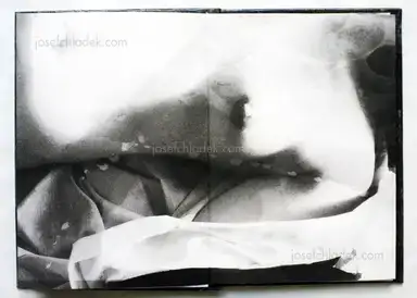 Sample page 7 for book "Amemiya, Rie – Rie Amemiya - Dawn/Sun set 明ける/暮れる" Sample page 7 for book "Amemiya, Rie – Rie Amemiya - Dawn/Sun set 明ける/暮れる"