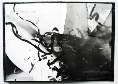 Sample page 3 for book "Amemiya, Rie – Rie Amemiya - Dawn/Sun set 明ける/暮れる" Sample page 3 for book "Amemiya, Rie – Rie Amemiya - Dawn/Sun set 明ける/暮れる"