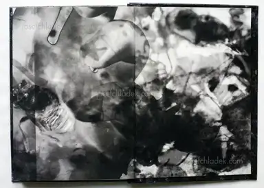 Sample page 2 for book "Amemiya, Rie – Rie Amemiya - Dawn/Sun set 明ける/暮れる" Sample page 2 for book "Amemiya, Rie – Rie Amemiya - Dawn/Sun set 明ける/暮れる"