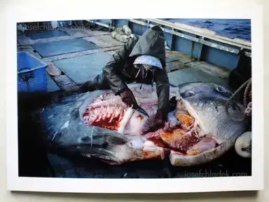 Sample page 17 for book "Miyajima, Yasuhiko – Yasuhiko Miyajima - The Asian monsoon アジアモンスーン" Sample page 17 for book "Miyajima, Yasuhiko – Yasuhiko Miyajima - The Asian monsoon アジアモンスーン"