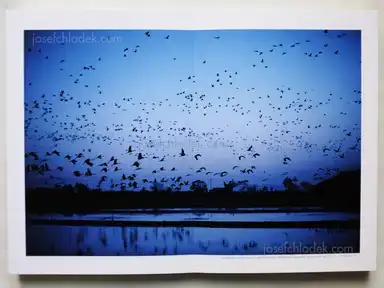 Sample page 6 for book "Miyajima, Yasuhiko – Yasuhiko Miyajima - The Asian monsoon アジアモンスーン" Sample page 6 for book "Miyajima, Yasuhiko – Yasuhiko Miyajima - The Asian monsoon アジアモンスーン"