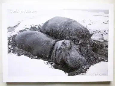 Sample page 5 for book "Miyajima, Yasuhiko – Yasuhiko Miyajima - The Asian monsoon アジアモンスーン" Sample page 5 for book "Miyajima, Yasuhiko – Yasuhiko Miyajima - The Asian monsoon アジアモンスーン"