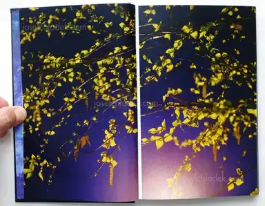 Sample page 10 for book "Baluta, Natalia – Natalia Baluta - Потом / after a while" Sample page 10 for book "Baluta, Natalia – Natalia Baluta - Потом / after a while"