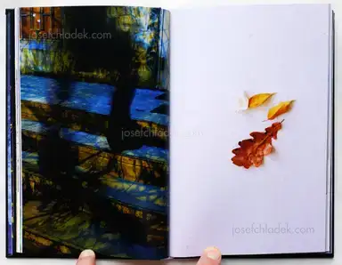 Sample page 7 for book "Baluta, Natalia – Natalia Baluta - Потом / after a while" Sample page 7 for book "Baluta, Natalia – Natalia Baluta - Потом / after a while"