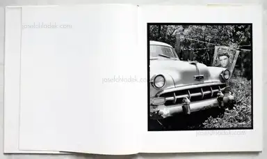 Sample page 17 for book "Lipper, Susan – Susan Lipper - Grapevine" Sample page 17 for book "Lipper, Susan – Susan Lipper - Grapevine"