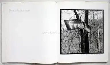 Sample page 13 for book "Lipper, Susan – Susan Lipper - Grapevine" Sample page 13 for book "Lipper, Susan – Susan Lipper - Grapevine"