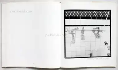 Sample page 9 for book "Lipper, Susan – Susan Lipper - Grapevine" Sample page 9 for book "Lipper, Susan – Susan Lipper - Grapevine"