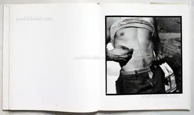 Sample page 3 for book "Lipper, Susan – Susan Lipper - Grapevine" Sample page 3 for book "Lipper, Susan – Susan Lipper - Grapevine"