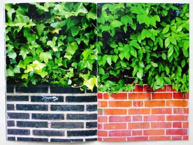 Sample page 8 for book "Gachez, Jesús – Jesús Gachez - I have never been here / Nunca estuve aquí" Sample page 8 for book "Gachez, Jesús – Jesús Gachez - I have never been here / Nunca estuve aquí"