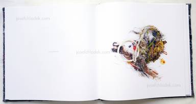 Sample page 11 for book  Klaus Pichler – Dust