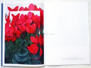 Sample page 8 for book "Takizawa, Hiroshi – Hiroshi Takizawa - A rock of the moon (new version)" Sample page 8 for book "Takizawa, Hiroshi – Hiroshi Takizawa - A rock of the moon (new version)"