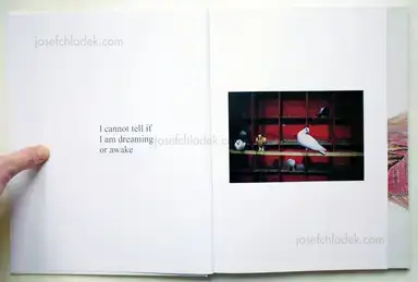 Sample page 21 for book "Drake, Carolyn – Carolyn Drake - Wild Pigeon" Sample page 21 for book "Drake, Carolyn – Carolyn Drake - Wild Pigeon"