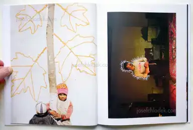 Sample page 16 for book "Drake, Carolyn – Carolyn Drake - Wild Pigeon" Sample page 16 for book "Drake, Carolyn – Carolyn Drake - Wild Pigeon"