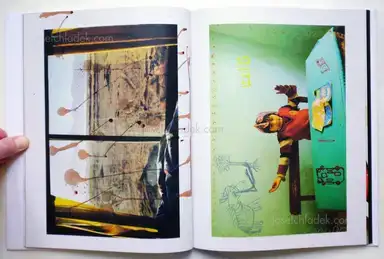 Sample page 13 for book "Drake, Carolyn – Carolyn Drake - Wild Pigeon" Sample page 13 for book "Drake, Carolyn – Carolyn Drake - Wild Pigeon"