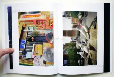 Sample page 10 for book "Drake, Carolyn – Carolyn Drake - Wild Pigeon" Sample page 10 for book "Drake, Carolyn – Carolyn Drake - Wild Pigeon"