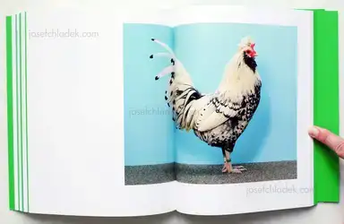 Sample page 1 for book "Williams, Christopher – Christopher Williams - Printed in Germany" Sample page 1 for book "Williams, Christopher – Christopher Williams - Printed in Germany"