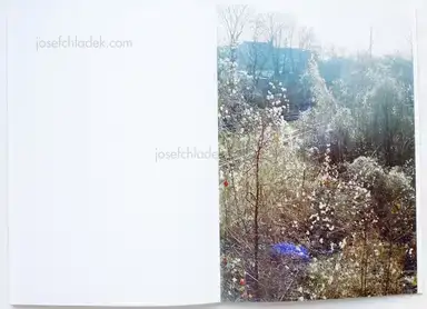 Sample page 1 for book "Kolatschny, Dagmar – Dagmar Kolatschny - Sunny" Sample page 1 for book "Kolatschny, Dagmar – Dagmar Kolatschny - Sunny"