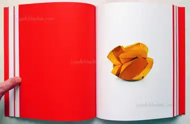 Sample page 9 for book "Williams, Christopher – Christopher Williams - Printed in Germany" Sample page 9 for book "Williams, Christopher – Christopher Williams - Printed in Germany"