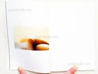 Sample page 9 for book "Lawton, Eric – Eric Lawton - Lucid Light" Sample page 9 for book "Lawton, Eric – Eric Lawton - Lucid Light"