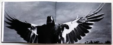 Sample page 9 for book  Trent Parke – The Black Rose