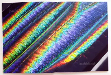 Sample page 12 for book "Segers, Dries – Dries Segers - Seeing a rainbow" Sample page 12 for book "Segers, Dries – Dries Segers - Seeing a rainbow"