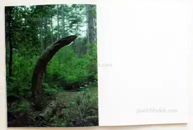 Sample page 11 for book "Segers, Dries – Dries Segers - Seeing a rainbow" Sample page 11 for book "Segers, Dries – Dries Segers - Seeing a rainbow"