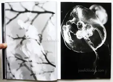 Sample page 12 for book "Kawada, Kikuji – Kikuji Kawada - The Last Cosmology" Sample page 12 for book "Kawada, Kikuji – Kikuji Kawada - The Last Cosmology"