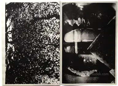 Sample page 2 for book "Chladek, Josef – Daido Moriyama - Scandalous" Sample page 2 for book "Chladek, Josef – Daido Moriyama - Scandalous"