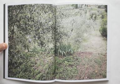 Sample page 2 for book  Martino Marangoni – Nonni's Paradiso - An Olive Tree Story