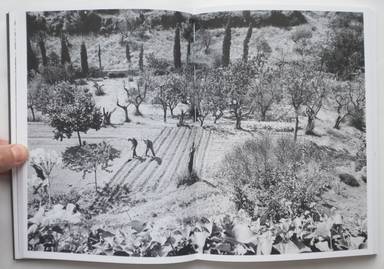 Sample page 6 for book  Martino Marangoni – Nonni's Paradiso - An Olive Tree Story