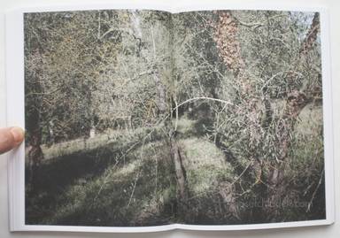 Sample page 10 for book  Martino Marangoni – Nonni's Paradiso - An Olive Tree Story