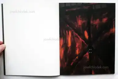 Sample page 8 for book "Heinze, Volker – Volker Heinze - Ahnung" Sample page 8 for book "Heinze, Volker – Volker Heinze - Ahnung"